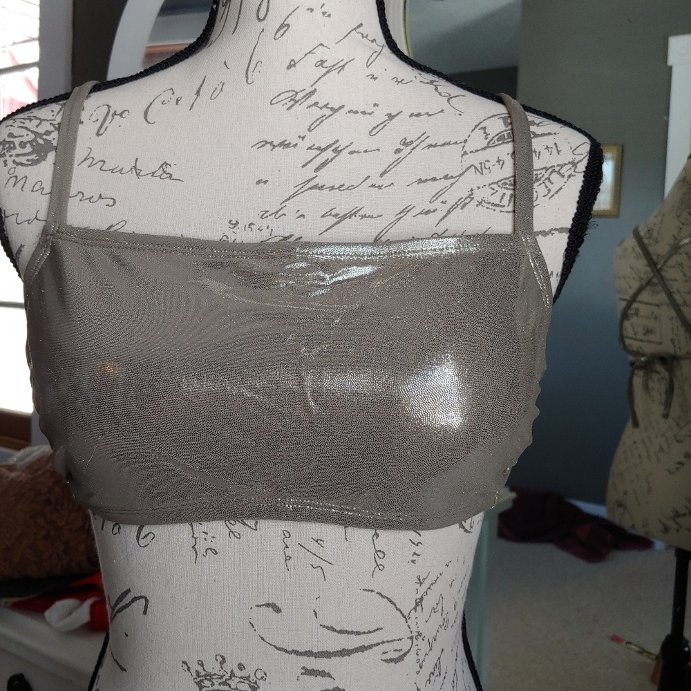 Shimmering Silver Swim Top NWT SZD/DD. CAN'T GO ANY LOWER!